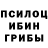 Псилоцибиновые грибы мухоморы Jans Kadikis