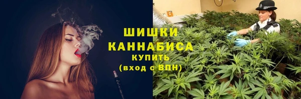 сатива Михайлов