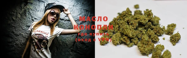 индика Кострома
