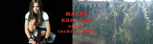сатива Михайлов