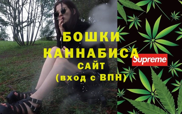сатива Михайлов