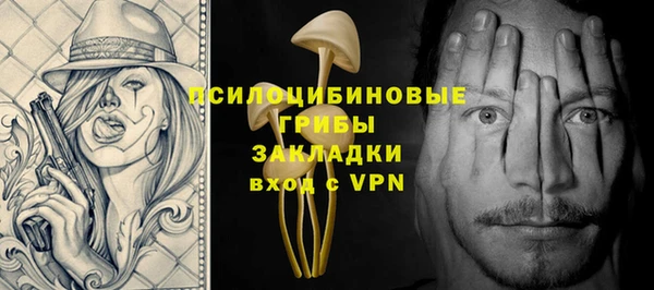 ГАЛЛЮЦИНОГЕННЫЕ ГРИБЫ Михайловск