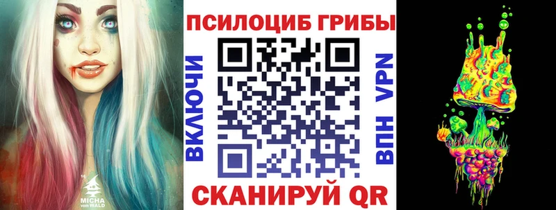 Псилоцибиновые грибы Cubensis  Янаул 